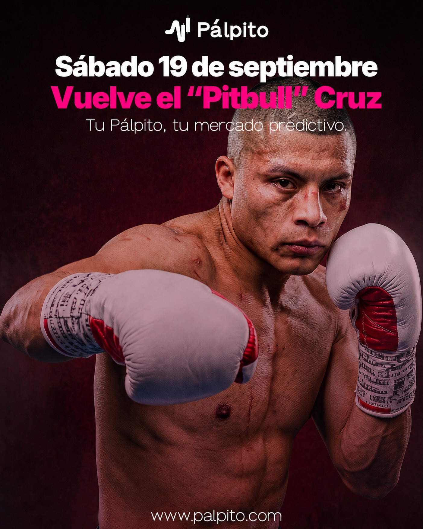 Isaac "Pitbull" Cruz vuelve el 19 de septiembre ante el puertorriqueño Néstor Bravo, y es su primera pelea dirigido por 